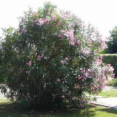 לינה וארוחת בוקר La Cle De Vos Reves