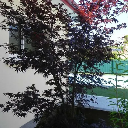 La Cle De Vos Reves Orthevielle