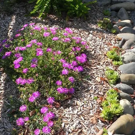 La Cle De Vos Reves Bed and Breakfast