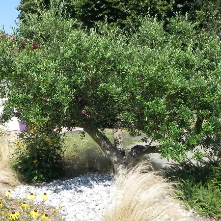 La Cle De Vos Reves B&B