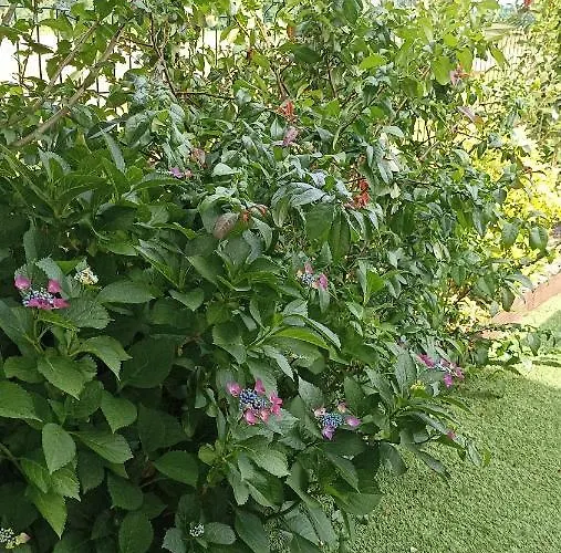 Bed & Breakfast La Cle De Vos Reves