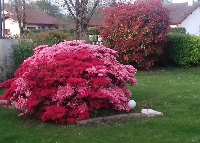 La Cle De Vos Reves Bed & Breakfast