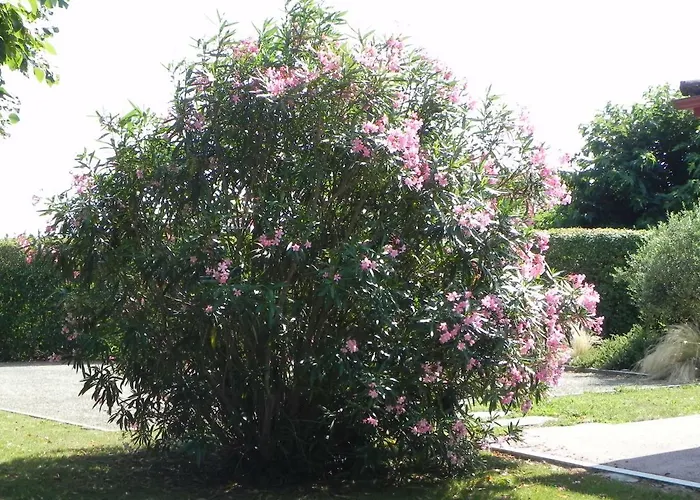 Bed & Breakfast La Cle De Vos Reves