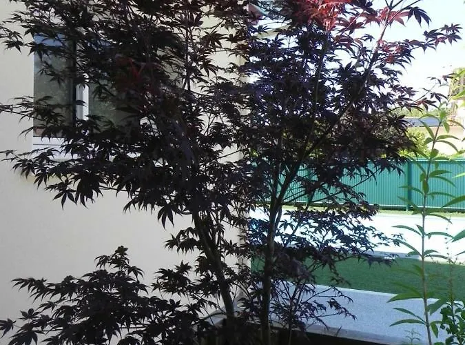 La Cle De Vos Reves Orthevielle