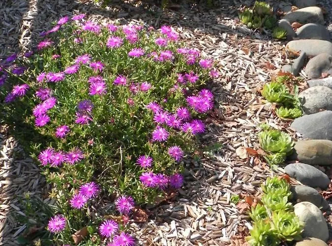 La Cle De Vos Reves Bed & Breakfast