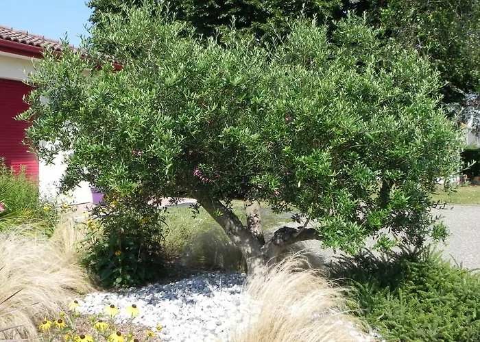 La Cle De Vos Reves Bed & Breakfast